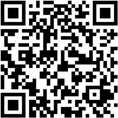 Arbeitspoloshirt Poloshirt Graphit Xxl