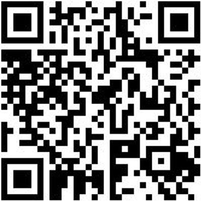 Arbeitsshirt T-Shirt Royal Xl