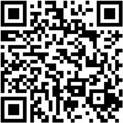 Arbeitsshirt T-Shirt Graphit Xxl