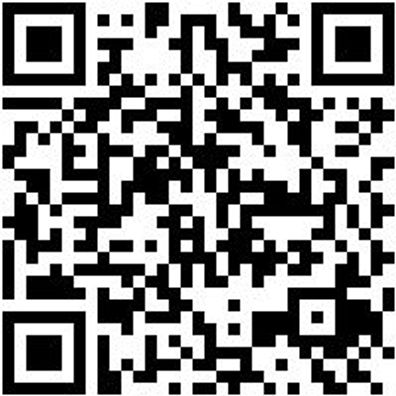 Arbeitspoloshirt Polo Job+ Royal Xxl