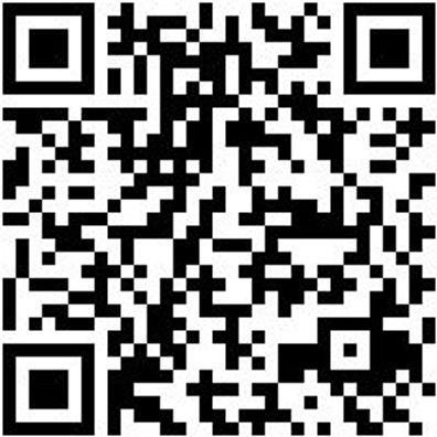 Arbeitspoloshirt Polo Job+ Smoke L