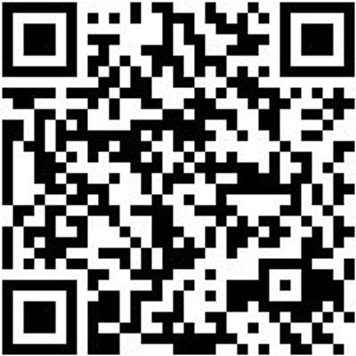 Arbeitspoloshirt Polo Job+ Orange Xxl