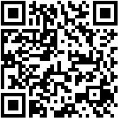 Arbeitspoloshirt Polo Job+ Gruen Xl