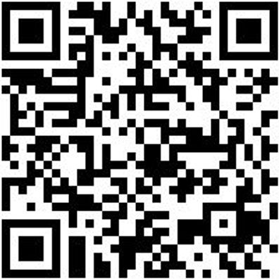 Arbeitspoloshirt Polo Job+ Anthrazit Xxl