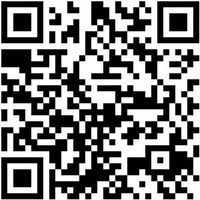 Arbeitspoloshirt Polo Job+ Anthrazit S