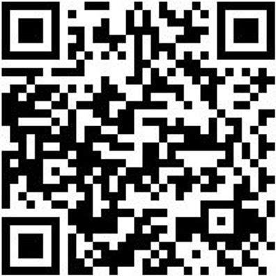 Arbeitspoloshirt Polo Job+ Anthrazit Xl