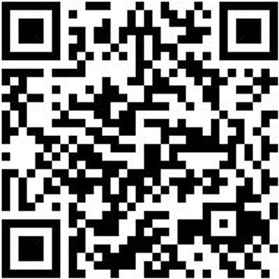 Arbeitspoloshirt Polo Job+ Anthrazit Xs