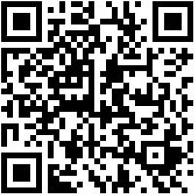 Arbeitspullover Sweatshirt Royal Xxl