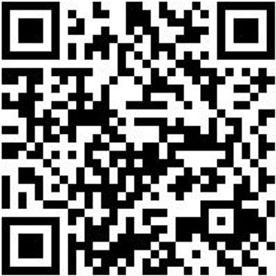 Arbeitspoloshirt Polo Job+ Anthrazit M