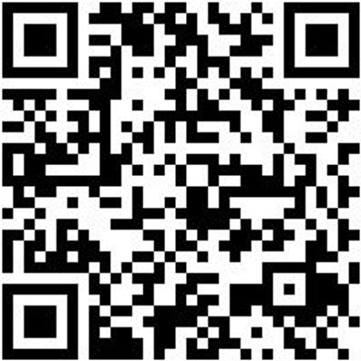 Arbeitspoloshirt Polo Job+ Anthrazit Xxl