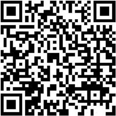 Arbeitspullover Half-Zip Fleece Half Zip Stretchfit Schwarz M