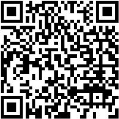 Arbeitspullover Half-Zip Fleece Half Zip Stretchfit Schwarz Xxl