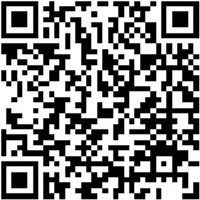 Arbeitspullover Half-Zip Fleece Halfzip Job+ Royal Blau M