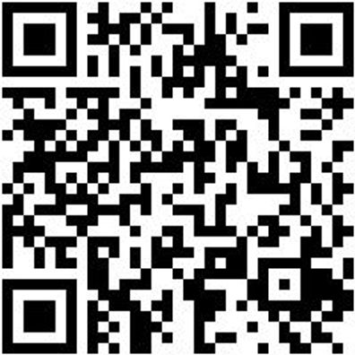 Arbeitsshirt T-Shirt Royal Xxl