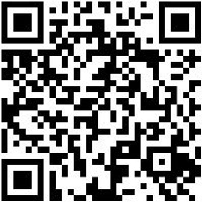 Arbeitsshirt T-Shirt Graphit Xs