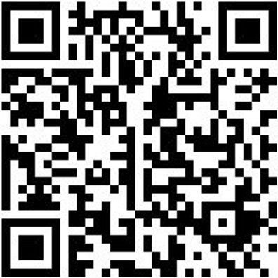 Arbeitspullover Sweatshirt Royal L