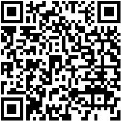 Arbeitspullover Half-Zip Fleece Half Zip Stretchfit Schwarz L