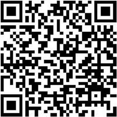 Arbeitspullover Half-Zip Fleece Halfzip Job+ Schwarz Xs