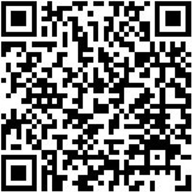 Arbeitspullover Half-Zip Fleece Halfzip Job+ Royal Blau L