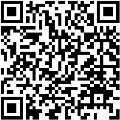 Arbeitspullover Half-Zip Fleece Halfzip Job+ Anthrazit Xl