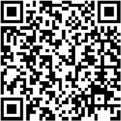 Arbeitsshirt Longsleeve Job+ Schwarz Xxl