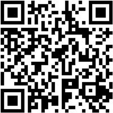 Arbeitsshirt T-Shirt Royal Xs