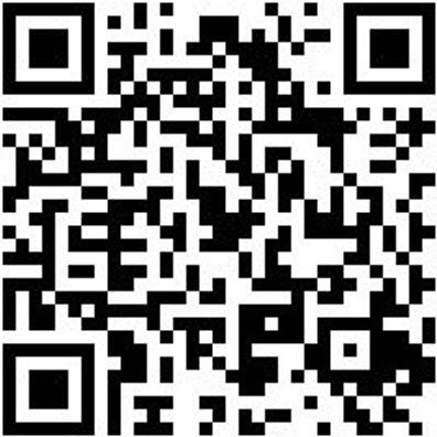 Arbeitsshirt T-Shirt Royal L