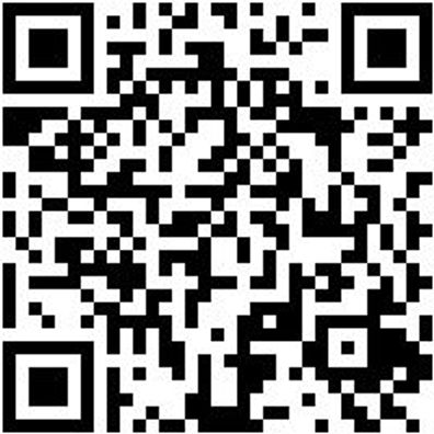 Arbeitsshirt T-Shirt Graphit Xl