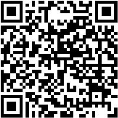 Arbeitsshirt Langarmshirt Forst Gelb/Rot Xl