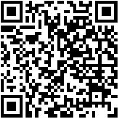 Arbeitsshirt Langarmshirt Forst Gelb/Rot 3Xl