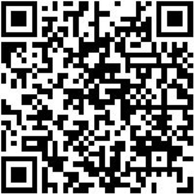 Arbeitsshorts Zunftbermuda Canvas Schwarz 44