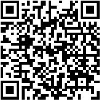 Arbeitsshorts Zunftbermuda Canvas Schwarz 62