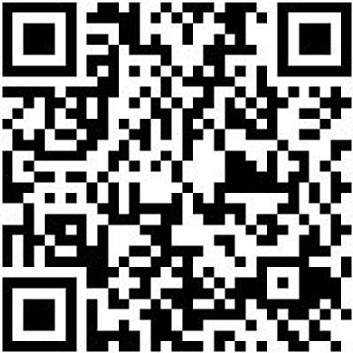 Arbeitsshorts Bermuda Nature Grau 40