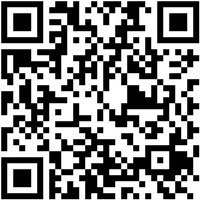 Arbeitsshorts Bermuda Nature Grau 44