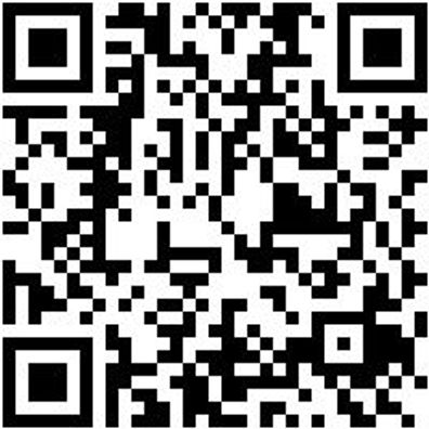 Arbeitsshorts Bermuda Nature Grau 56