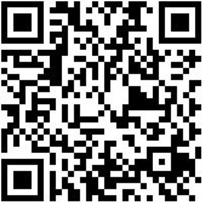 Arbeitsshorts Bermuda Nature Grau 58