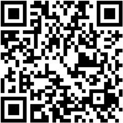 Arbeitsshorts Bermuda Nature Grau 62