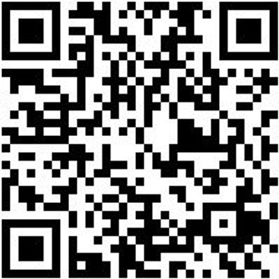 Arbeitsshorts Bermuda Nature Grau 64