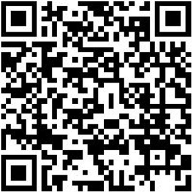 Arbeitsshorts Bermuda Nature Schwarz 40