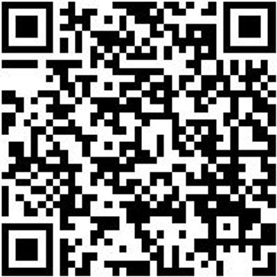 Arbeitsshorts Bermuda Nature Schwarz 42