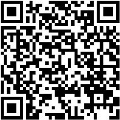 Arbeitsshorts Bermuda Nature Schwarz 46