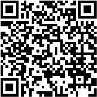 Arbeitsshorts Bermuda Nature Schwarz 48