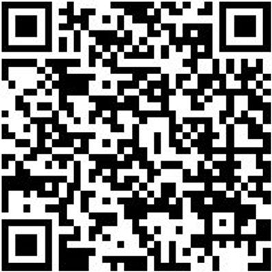 Arbeitsshorts Bermuda Nature Schwarz 52