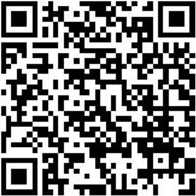 Arbeitsshorts Bermuda Nature Schwarz 54