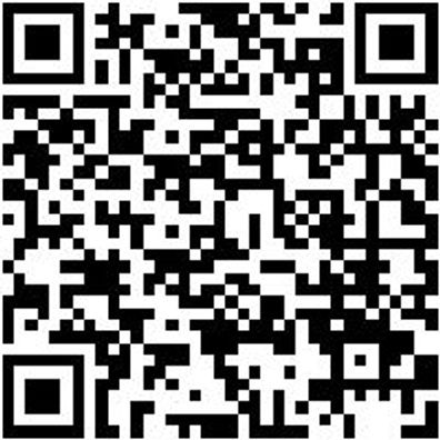 Arbeitsshorts Bermuda Nature Schwarz 58