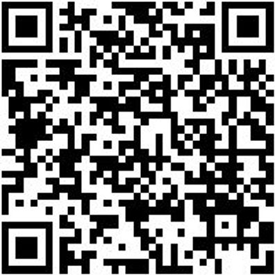 Arbeitsshorts Bermuda Nature Schwarz 60