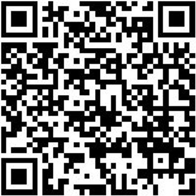 Arbeitsshorts Bermuda Nature Schwarz 64