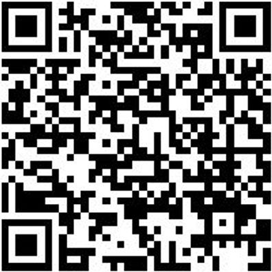 Arbeitsshorts Bermuda Nature Schwarz 66