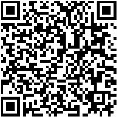 Aufstecksenker Aufsteser-Bo-Hss-D6Mm