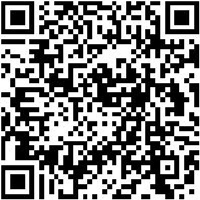 Aufsteckversenker Schlangenbohrer Aufsteser-Bo-Schlang-D85Mm